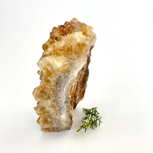 Large crystals NZ: Large citrine crystal cluster
