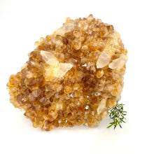 Load image into Gallery viewer, Large crystals NZ: Large citrine crystal cluster
