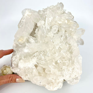 Large Crystals NZ: Extra large clear quartz crystal cluster 9.8kg