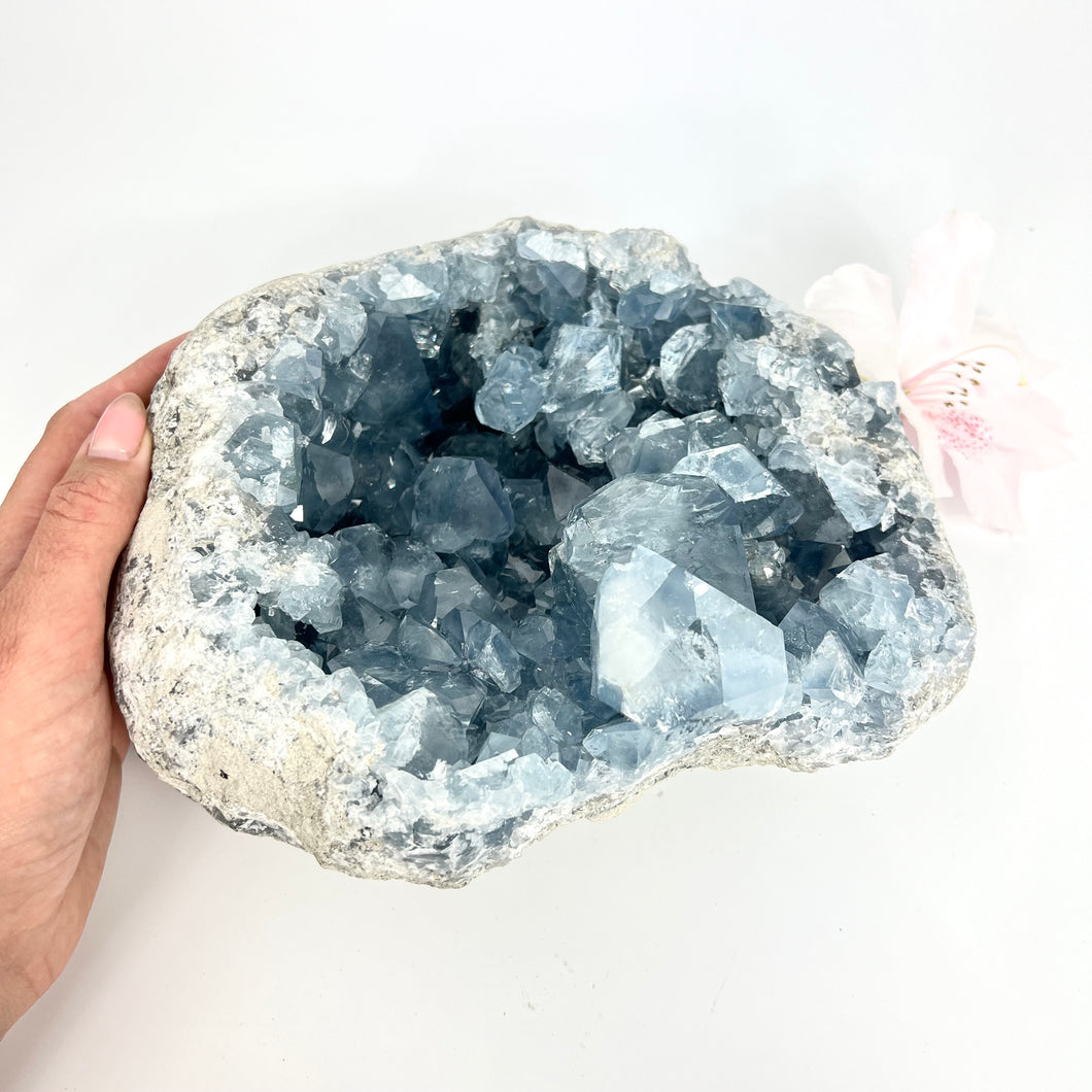 Large Crystals NZ: Large celestite crystal cluster 6.3kg