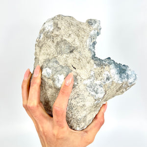 Large Crystals NZ: Large celestite crystal geode - 5.14kg