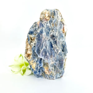 Large crystals NZ: Large kyanite crystal cluster with cut base