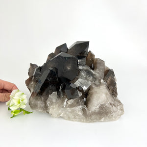 Large Crystals NZ: Large smoky quartz crystal cluster 6.6kg
