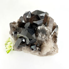 Load image into Gallery viewer, Large Crystals NZ: Large smoky quartz crystal cluster 6.6kg
