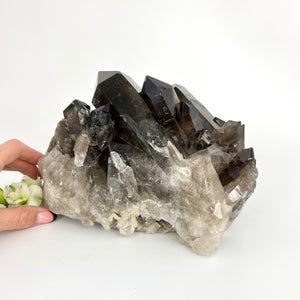 Large Crystals NZ: Large smoky quartz crystal cluster 6.6kg