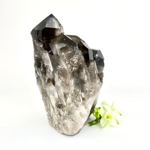 Large Crystals NZ: Large smoky quartz crystal cluster 2.66kg
