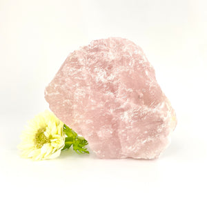 Large Crystals NZ: Large raw rose quartz crystal chunk 1.4kg