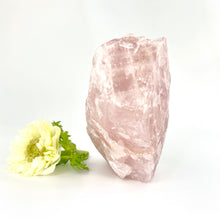 Load image into Gallery viewer, Large Crystals NZ: Large raw rose quartz crystal chunk 1.4kg
