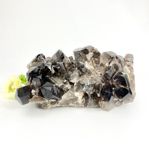 Large crystals NZ: Large smoky quartz crystal cluster