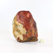 Load image into Gallery viewer, Large red jasper raw crystal chunk 5.026kg | ASH&amp;STONE Crystals Shop Auckland NZ
