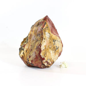 Large red jasper raw crystal chunk 5.026kg | ASH&STONE Crystals Shop Auckland NZ