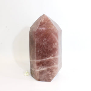 Extra large high-grade dark rose quartz crystal tower 13.68kg | ASH&STONE Collector's Crystals Shop