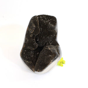 Large black septarian crystal cut base 2.42kg | ASH&STONE Crystals Shop NZ