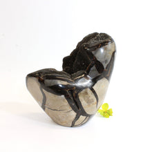 Load image into Gallery viewer, Large black septarian crystal cut base 2.42kg | ASH&amp;STONE Crystals Shop NZ
