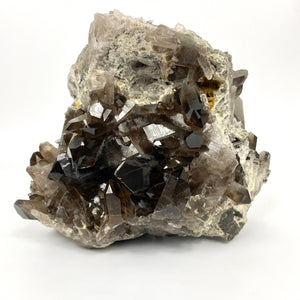 Extra large smoky quartz crystal cluster - high grade | ASH&STONE Crystals Auckland NZ