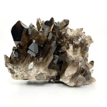 Load image into Gallery viewer, Extra large smoky quartz crystal cluster - high gradeExtra large smoky quartz crystal cluster - high grade | ASH&amp;STONE Crystals Auckland NZ

