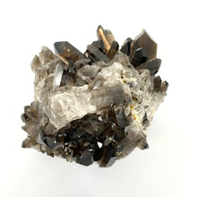 Load image into Gallery viewer, Extra large smoky quartz crystal cluster - high gradeExtra large smoky quartz crystal cluster - high grade | ASH&amp;STONE Crystals Auckland NZ
