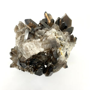Extra large smoky quartz crystal cluster - high gradeExtra large smoky quartz crystal cluster - high grade | ASH&STONE Crystals Auckland NZ