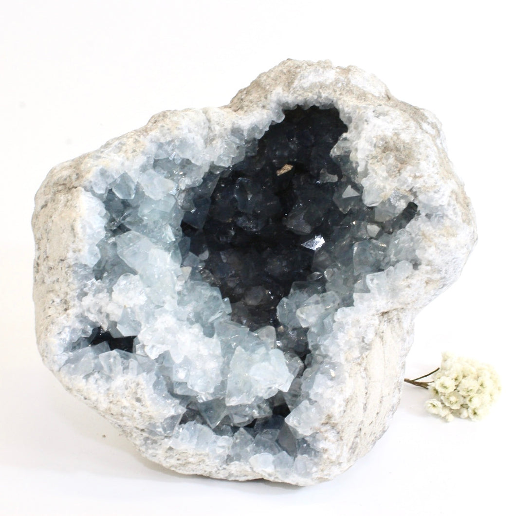Large celestite crystal geode - 2kg | ASH&STONE Crystals Shop Auckland NZ