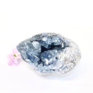 Celestite crystal cluster | ASH&STONE Crystals Shop Auckland NZ