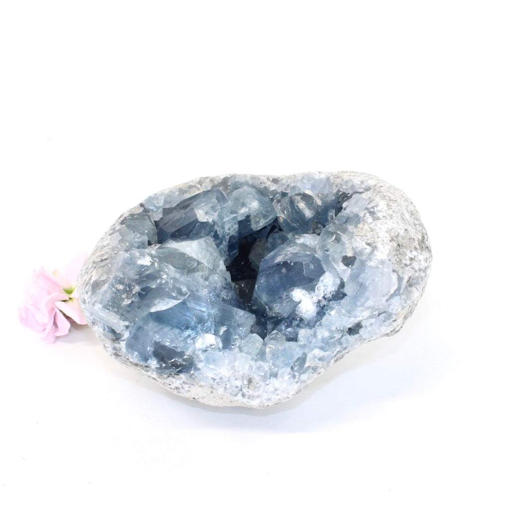 Celestite crystal cluster | ASH&STONE Crystals Shop Auckland NZ