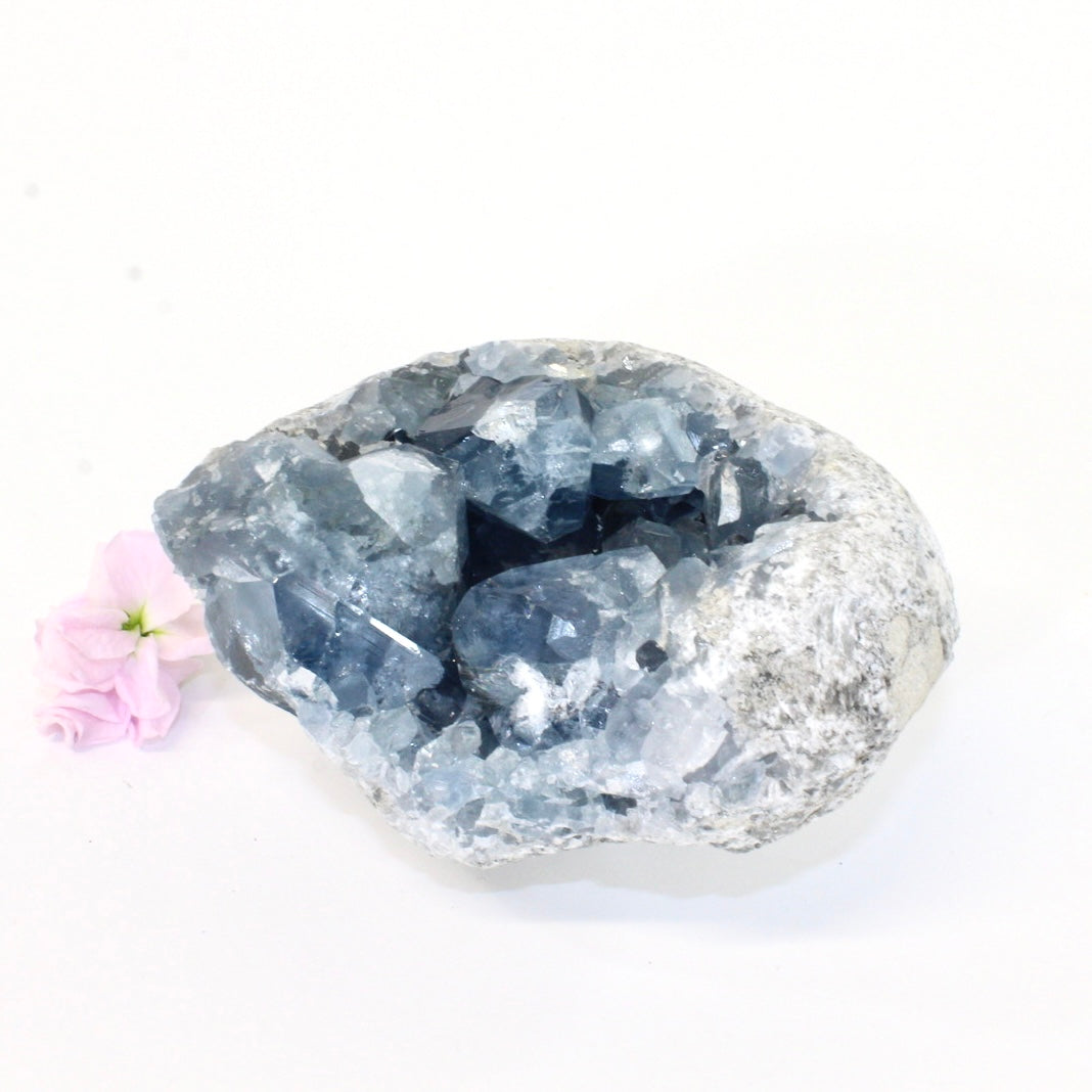 Celestite crystal cluster | ASH&STONE Crystals Shop Auckland NZ