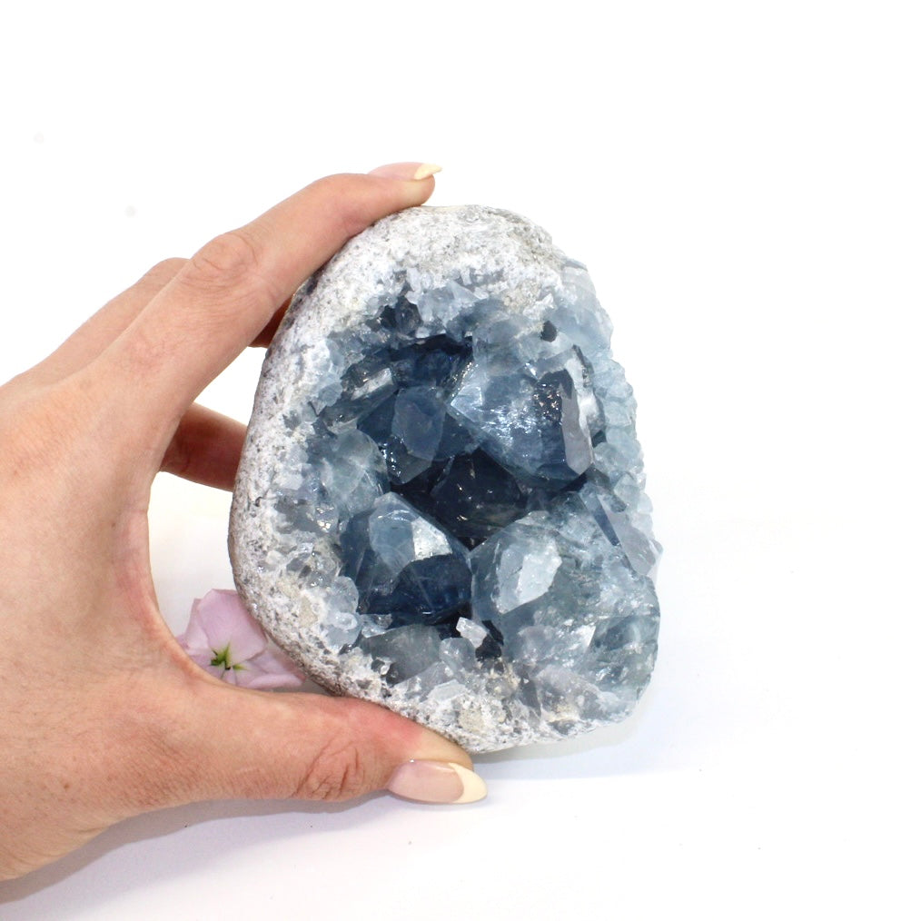 Celestite crystal cluster | ASH&STONE Crystals Shop Auckland NZ