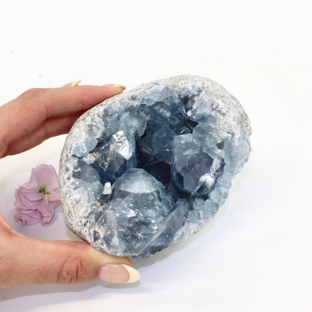 Celestite crystal cluster | ASH&STONE Crystals Shop Auckland NZ
