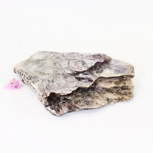 Large lepidolite crystal raw 2.28kg | ASH&STONE Crystals Shop Auckland NZ